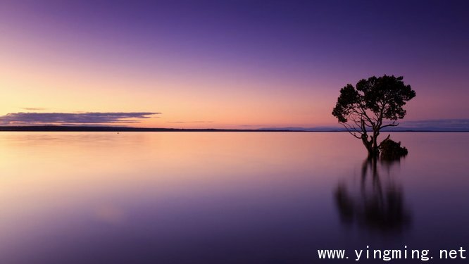 岳麓區(qū)網(wǎng)站設計制作如何提高設計感？